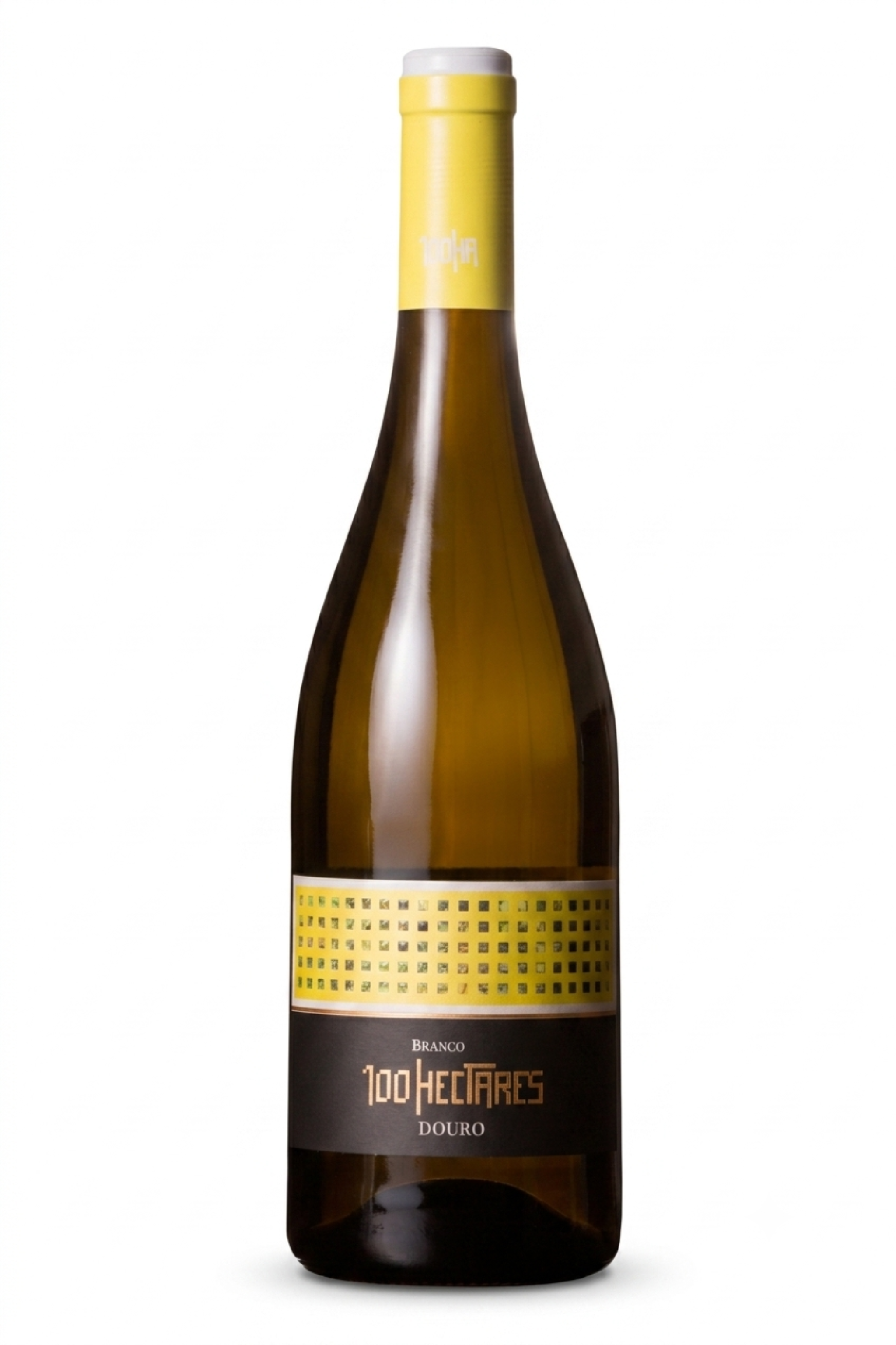 100 Hectares Branco 2024