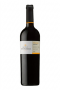 Quinta de Ventozelo Tinta Amarela Tinto 2024 — DOC Douro, vinho tinto de cor rubi intensa com notas de fruta vermelha e nuances vegetais frescas
